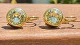 Swarovski Crystal round 'Jonquil' earrings - gold plated