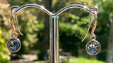 Swarovski Crystal fishhook ‘Black Diamond’ earrings - rose gold plated